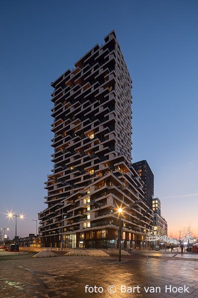 Wonderwoods (5/6), foto Bart van Hoek