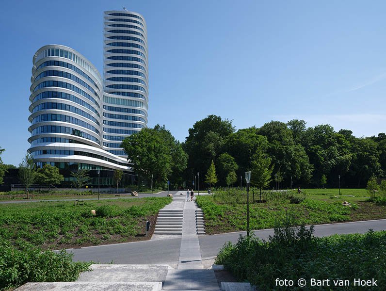 Aanpak Ring Zuid (6/8), foto Bart van Hoek