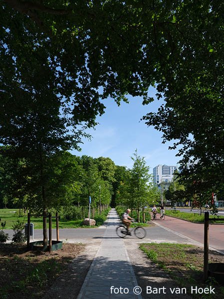 Aanpak Ring Zuid (8/8), foto Bart van Hoek